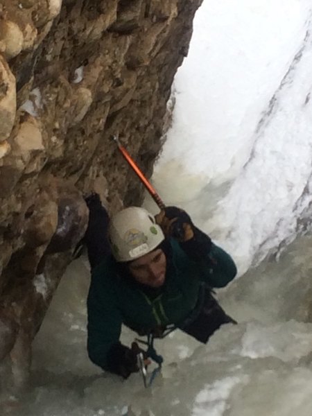 Evan on the stemming goods