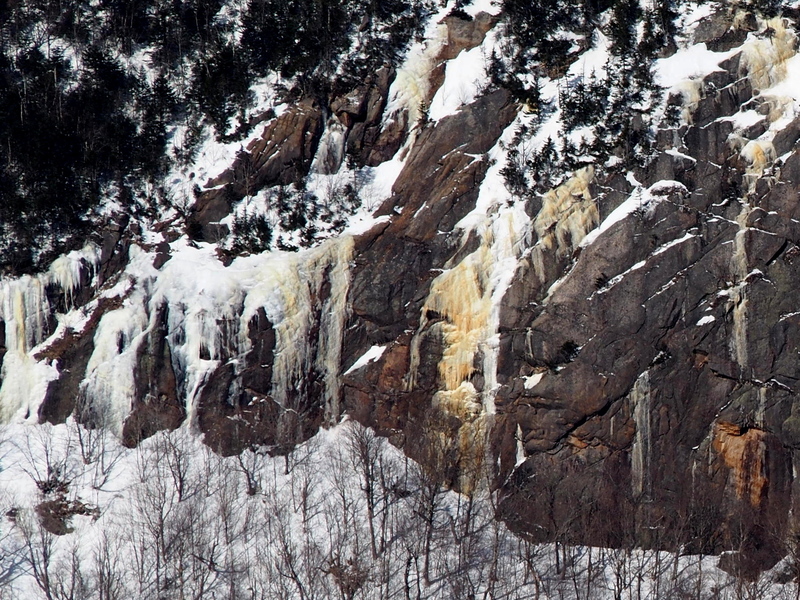 "Western Flows" (Photo taken Feb 2019 ) These are left of Shear Elegance