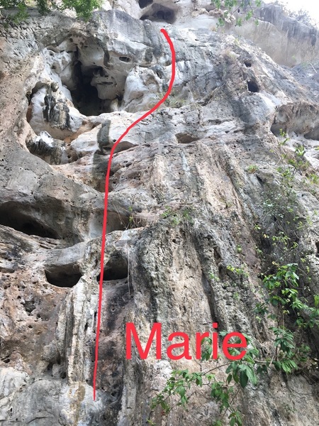 Line of Marie