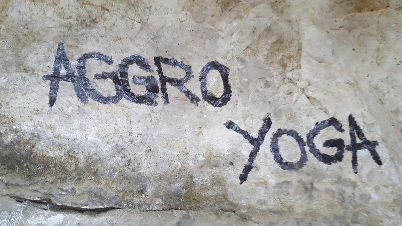 Aggro yoga is always super fun!