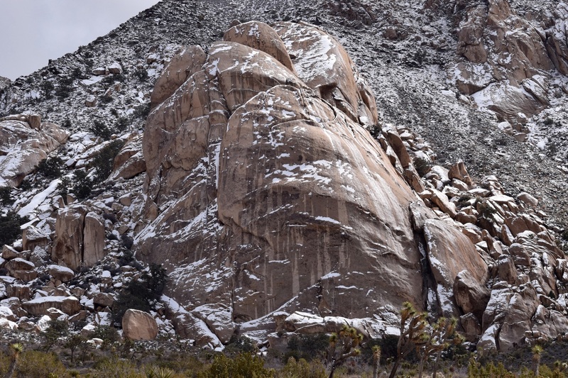 Alpine conditions, February 21, 2019