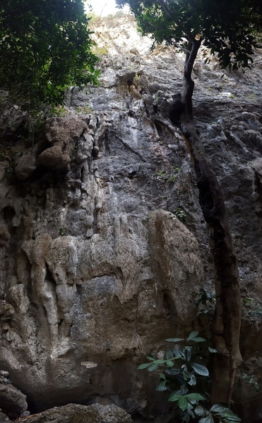 Spirit Mango climbs fun rock up the center of the photo.