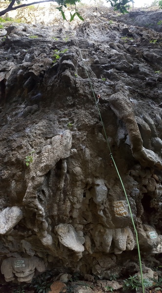 Straight up the center of the photo with a great crux.