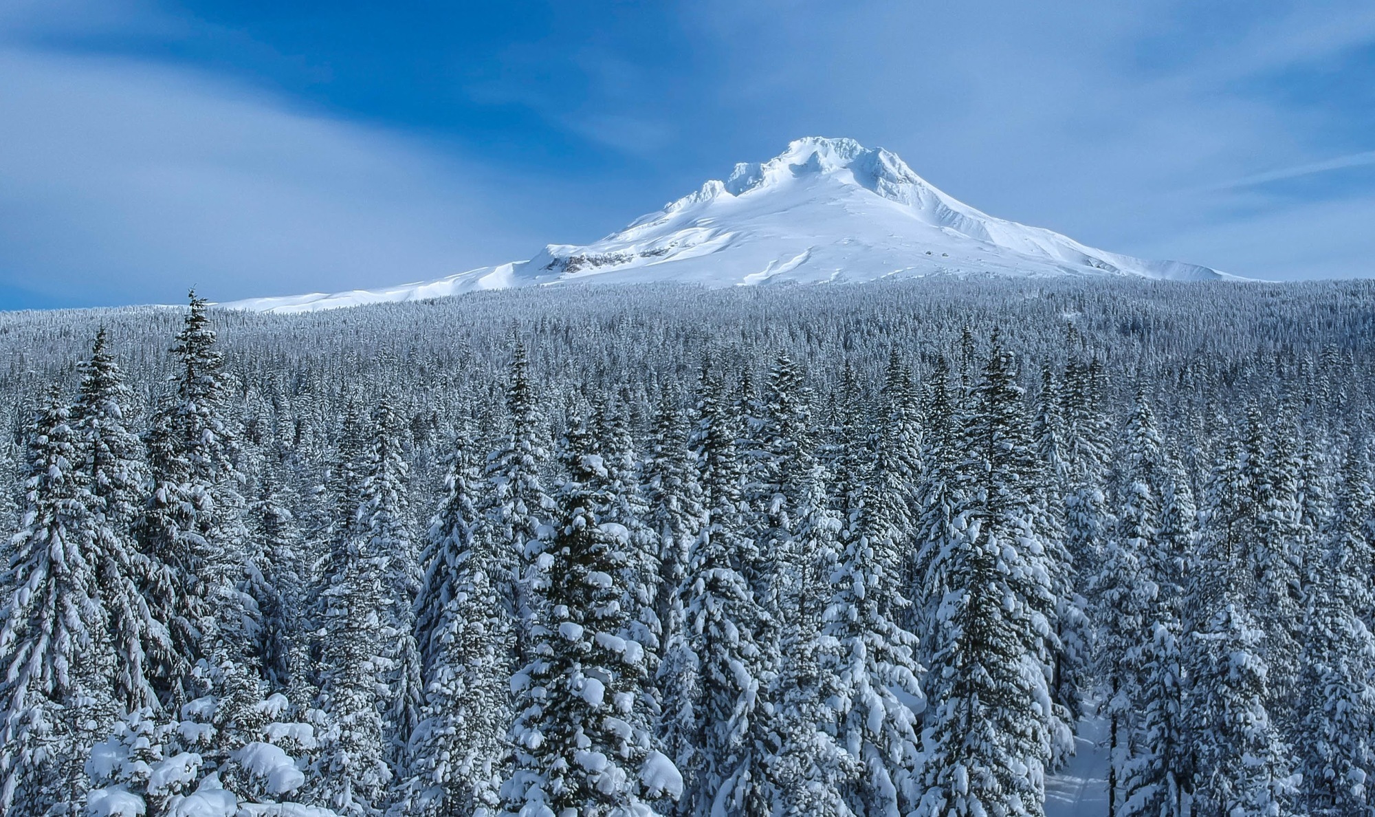 Mt. Hood in winter