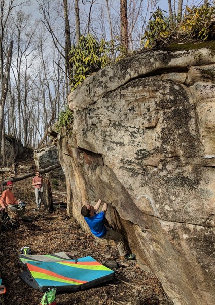 Undercling start to Jungle Justice