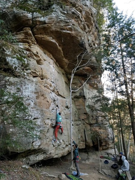 Cruising the 5.7 section in to the 11a roof on Rising.