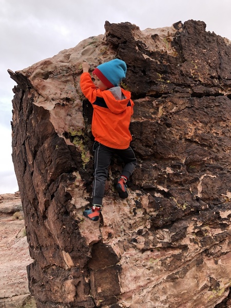 Jameson "scaling" the dragonet