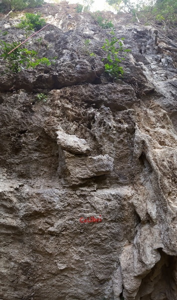 Start on the enjoyable moves off the ground and continue up very featured Rock all the way to the anchor.