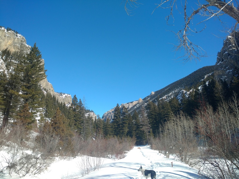 Climbing in Trout Creek Canyon, Southwest Region