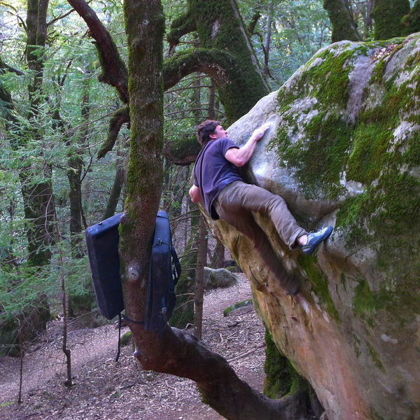 Mike D. doing laps on, Eco Terrorist.