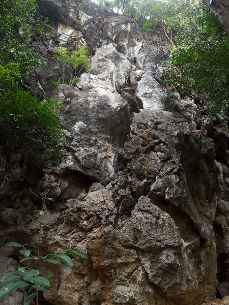 Fon climb straight up the enjoyable White Rock in the middle of the photo.