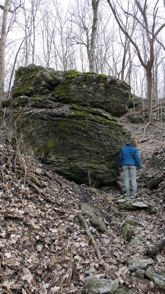 This is the one really good size boulder I found, this side plus the side to the right area about 12 ft high or so.