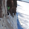 Mike Dziobak climbed this scrappy line onsight just right<br>
 of the route "Wave Connection" 03-17-19.