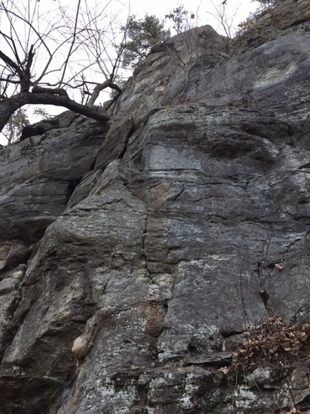 The two pretty good cracks that lead up to the ledge.
