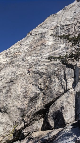 Shirtless millennial post crux with no shame top roping.