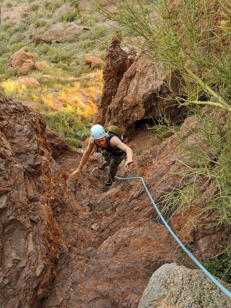 Following up the trail