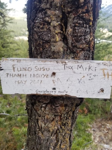 The route starts directly opposite this sign on the trail. Note: this sign may get moved a few meters to place it in front of Gooseberry.