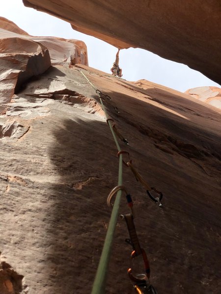 Tanner stemming across the top