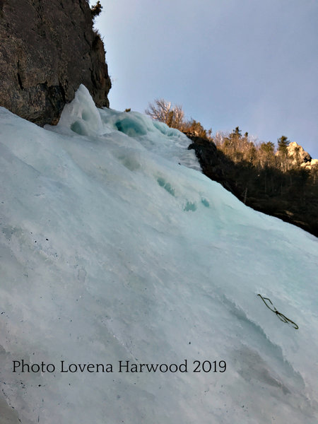 Parasol Gully Photo taken 4.14.2019