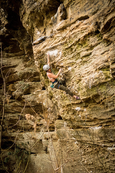 In the middle of the crux at the third bolt. A few more moves to a big ledge and then a sit down rest before the juggy climbing to the top. April 2019.