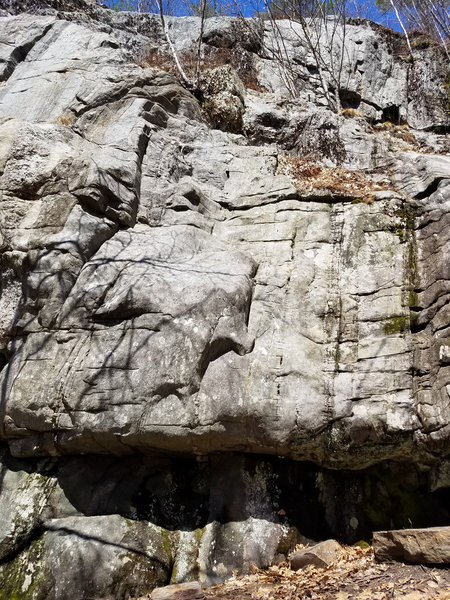 "Mr. Buffoolo To You" goes up the middle of the photo and then trends left. We went left around the thin twin trees at the top. Lots of nice holds!