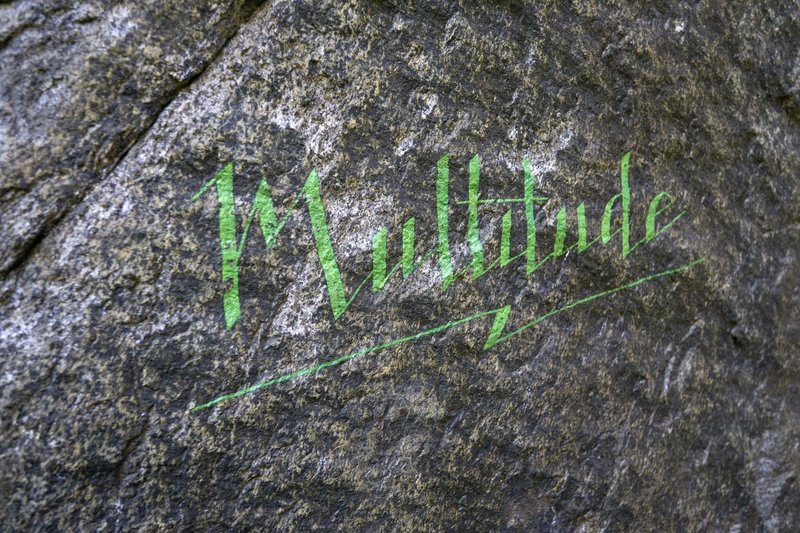 multitude