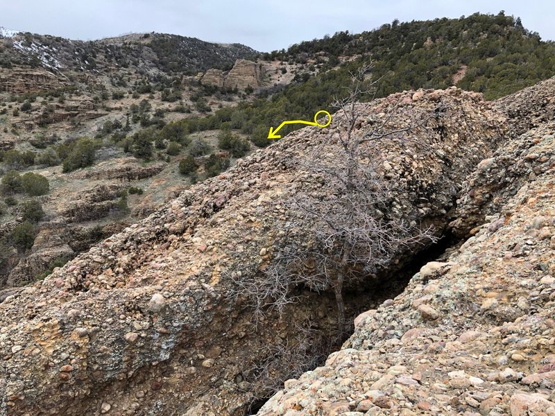 This is a view from the Ammo can looking north at the location of the first rappel anchor placed on 4/18/19. It is located on the ridge-top just beyond the tree.