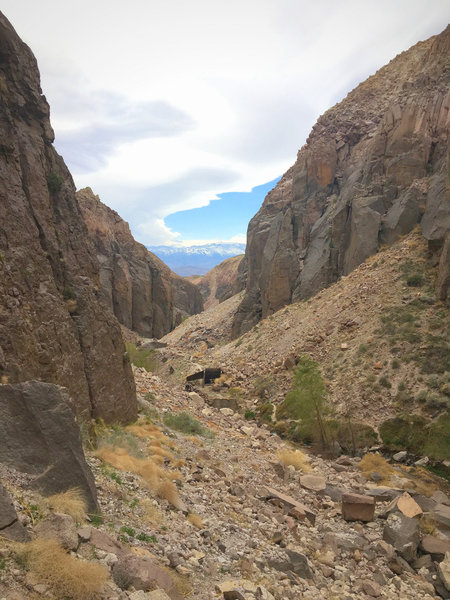 A great view from the Inner Gorge down the canyon with the White Mountains behind.