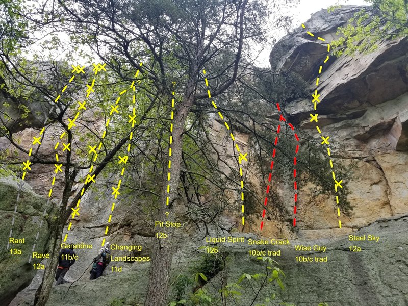 Broad view of middle part of Sun Wall from Rant to Steel Sky featuring large tree in your face. Topo lines do not indicate to climb tree.