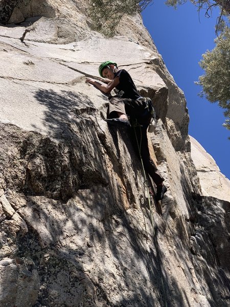 Bryn Owen branches out on lead.