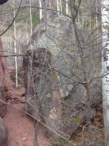 The birch tree makes padding it up difficult.