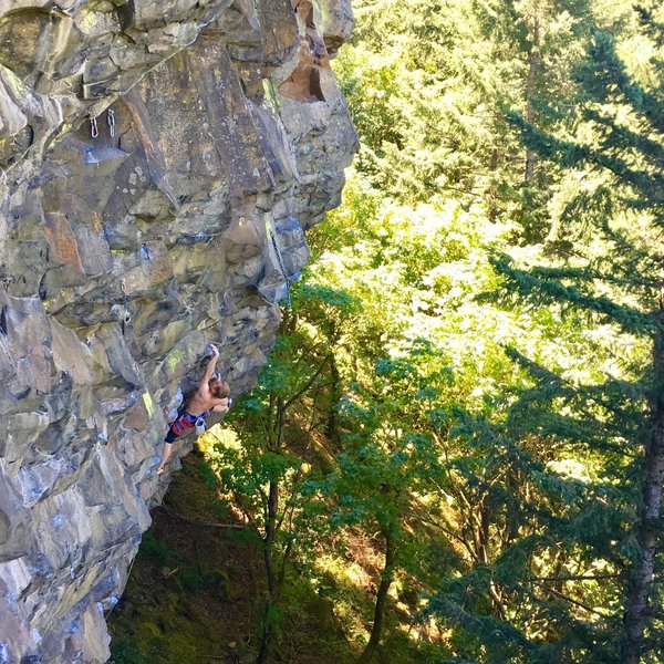 Steven Dimmitt getting into the thuggy upper moves on Bloodlust