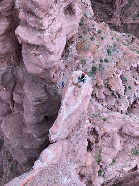 Looking down from the top of the tower.