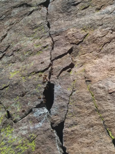 We were not first on the route 4/28/19. TONS of wasps pouring out of the entire lower crack. Glad I wasn't mid-lead when this happened!
