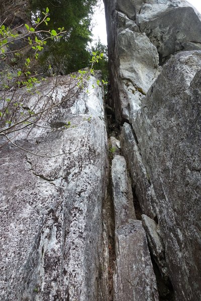 This is the 5.6 exit option up the final pitch of Europa. This avoids the last 2 pitches of Sunset Strip (10d crux, and 5.9 chimney). It's not nearly as good of climbing as the actual route, but good to know about if you need/want a quicker/easier exit.