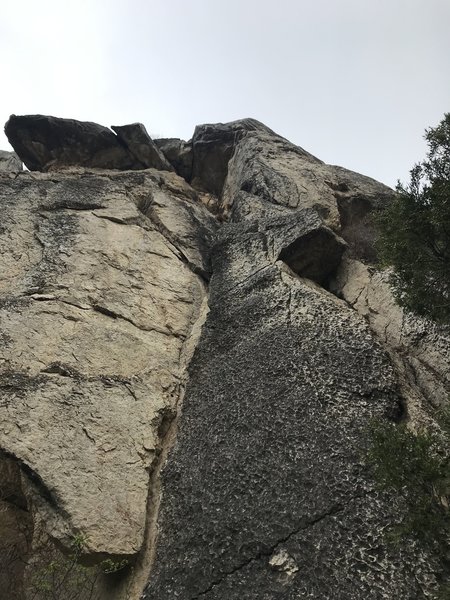 Wind Ranger from the bottom. Route goes up right hand side of photo, starting behind the tree.
