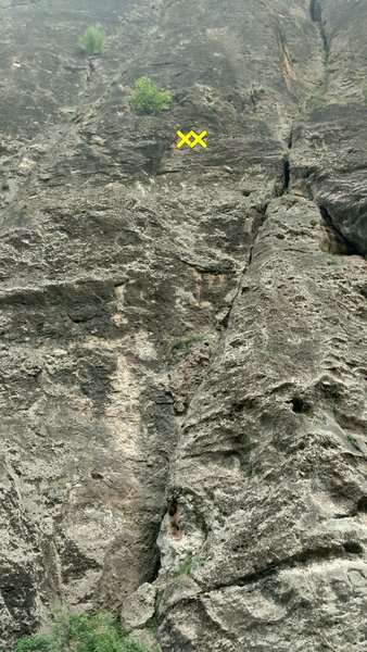 The route climbs the face to the left of the crack up to the bush.