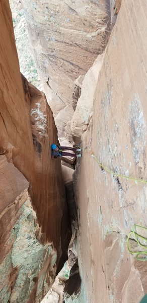 Maddy fully extended. It gets wider!