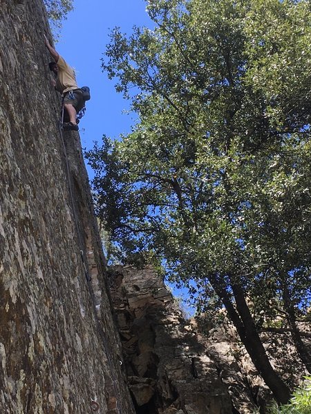 Half way up Rubber Man
<br>
5/5/19