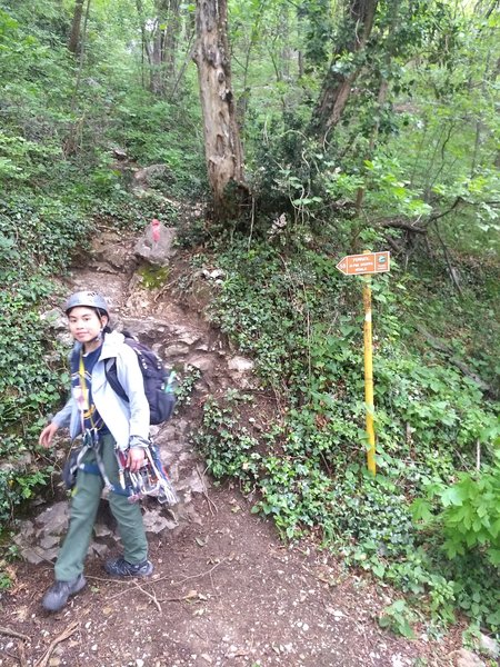 Where trail 58 turns away from the rack-fall barrier and heads up a steep dirt trail (almost there!!!)