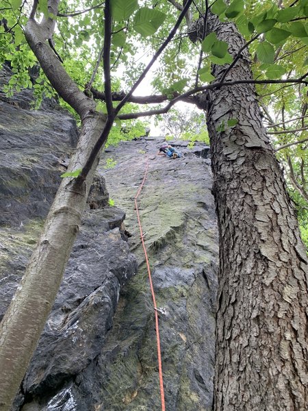 Climb Up