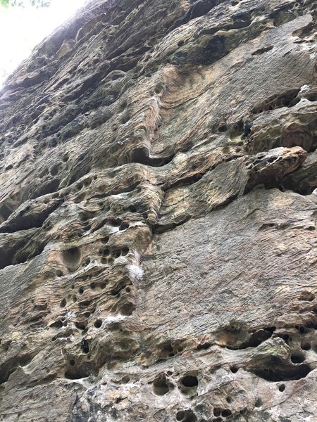 The start of Beta Blocker. The vertical right facing rail is the defining feature of this route