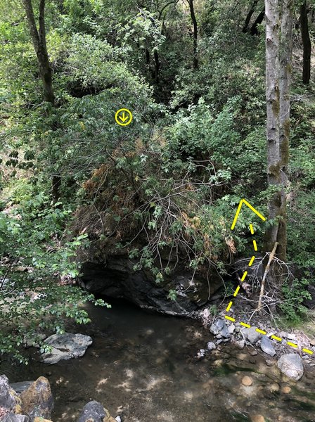 View of the boulder from the road with the approach to the face of the boulder