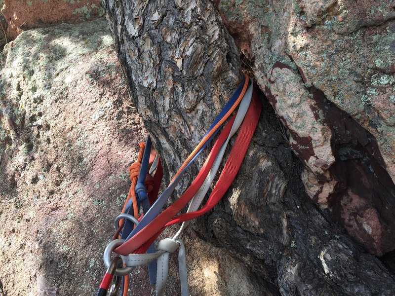 If you're following the guidebook rap line, each of the 3 trees is marked with slings & rings. They're hard to see from above, but the the next station will always be somewhere about 10-15' to your right. So keep a lookout. Also definitely tie your ends.