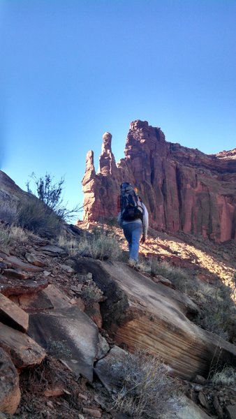 Peter on the approach