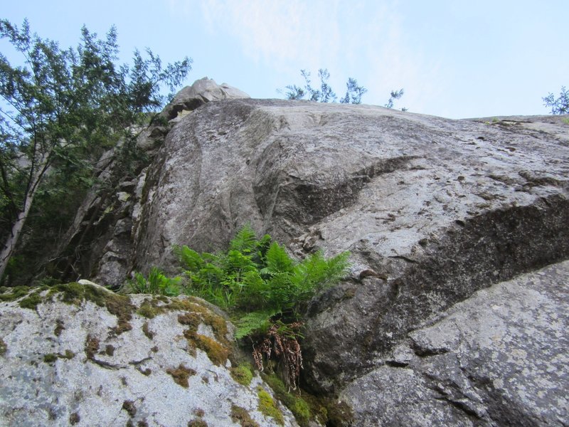 Looking up Pitch 1 (10b option).