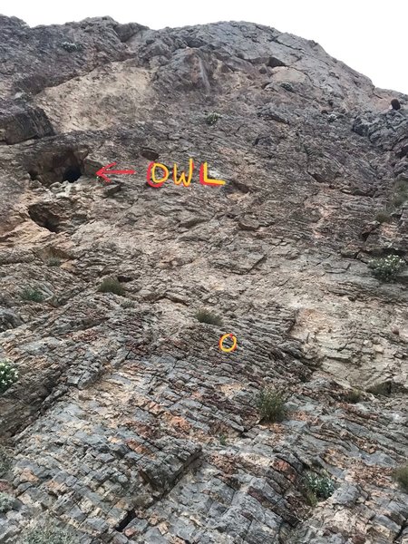 The circle is the first bolt.
<br>
Please be mindful that there is also a nesting owl that lives next to the route.