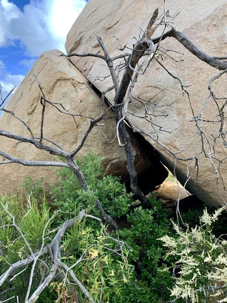 Seen from the trail