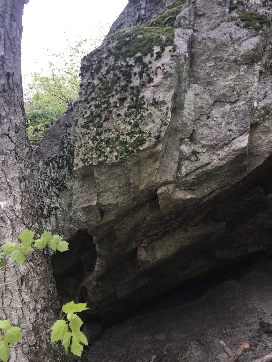 Climb left side of cave to the top of the mossy ledge.