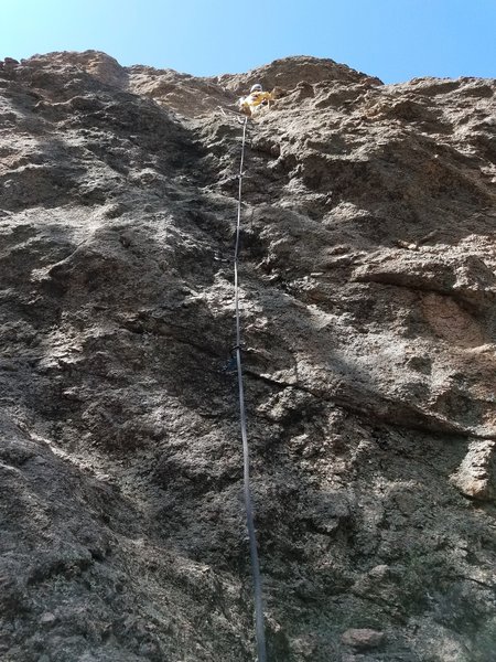 The terrain.